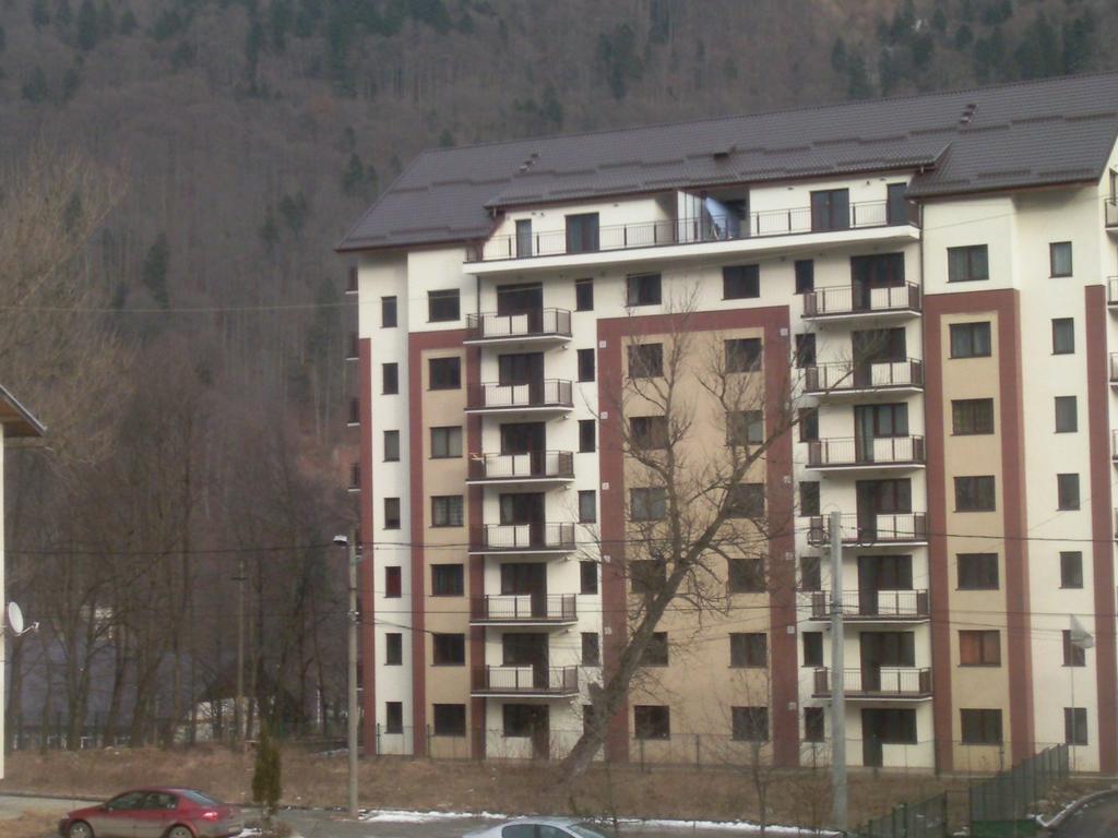 Апартаменты Mountain View Nest Синая Экстерьер фото